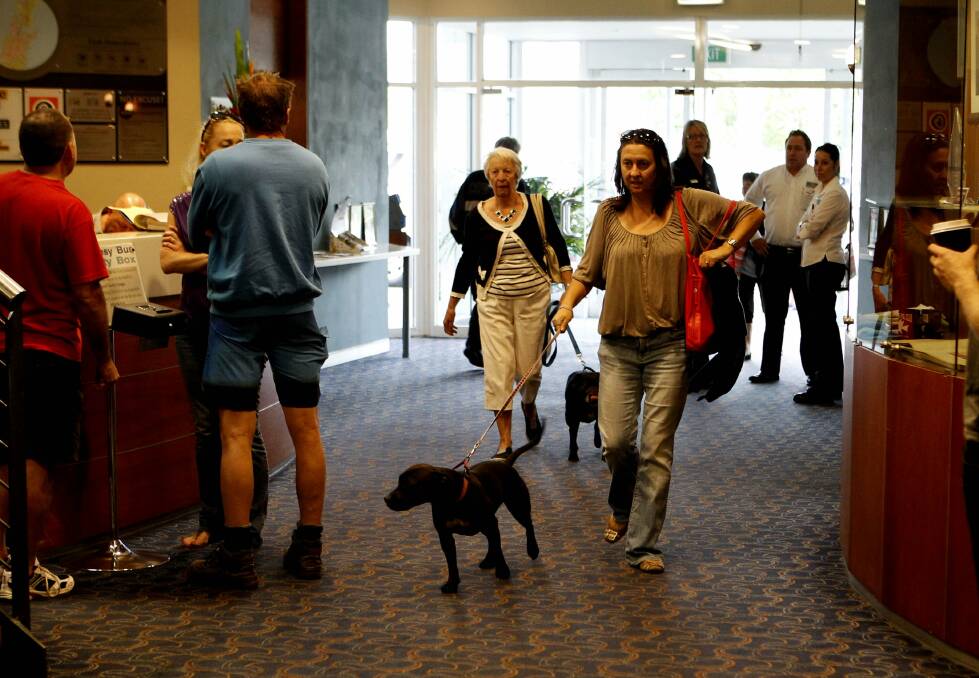 Sally Marsh and her dog Tillie at the Swansea evacuation centre. Picture: Darren Pateman