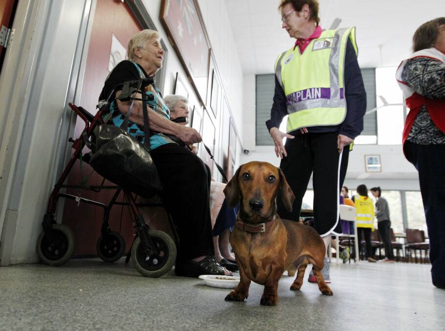 Iskey and his owner Meryl Mansour at the Swansea RSL evacuation centre. Picture: Darren Pateman