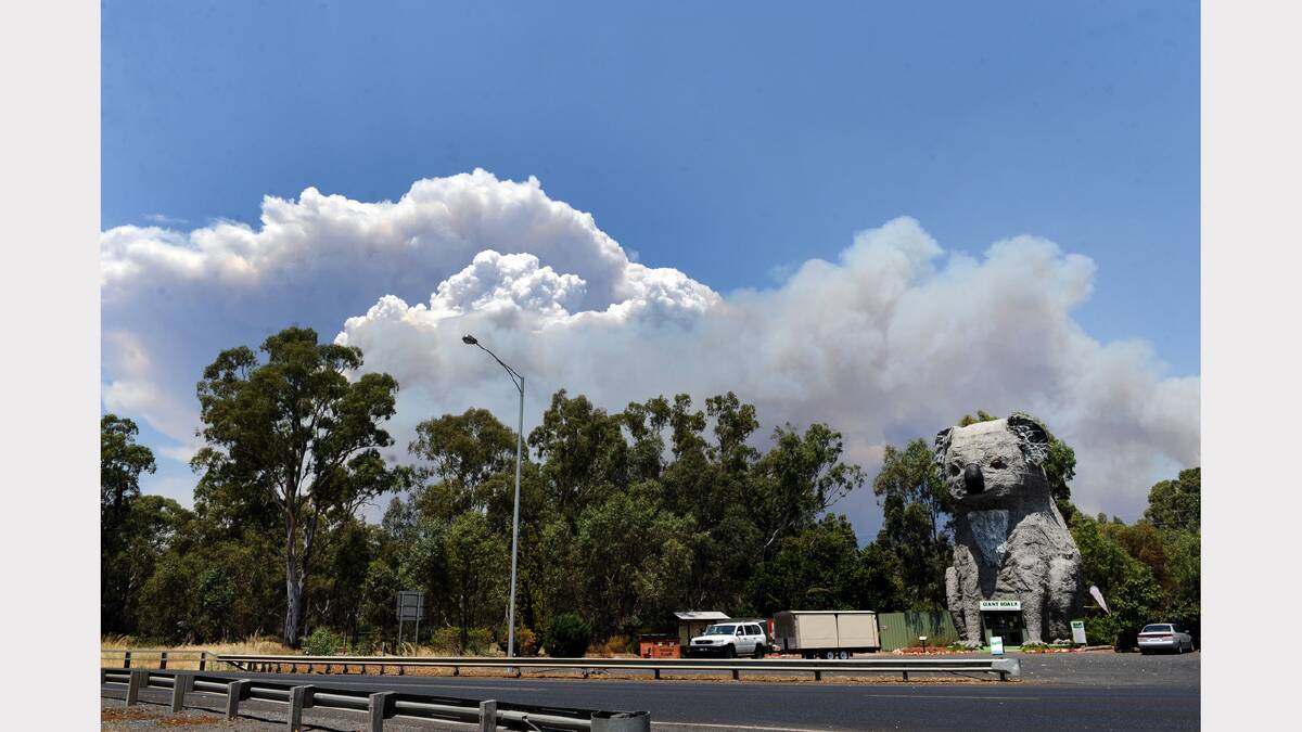 HAZE: Smoke from the Grampians fires rolls over the Giant Koala at Dadswells Bridge. Picture: PAUL CARRACHER