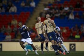 Jets striker Apostolos Stamatelopoulos rues a missed chance against the Mariners. By Jonathan Carroll