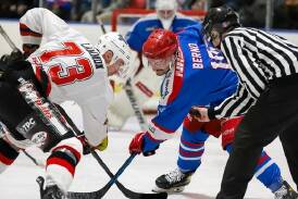 Northstars forward Daniel Berno, right, prepares for a puck-drop against Sydney Bears on Sunday. Picture supplied